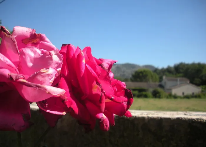 Gites Climatises Piscine Chauffee La Balancelle