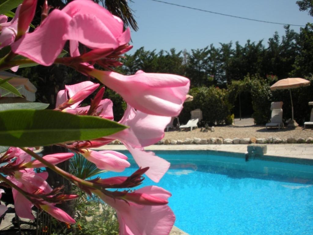 Holiday home Climatises Piscine Chauffee La Balancelle *