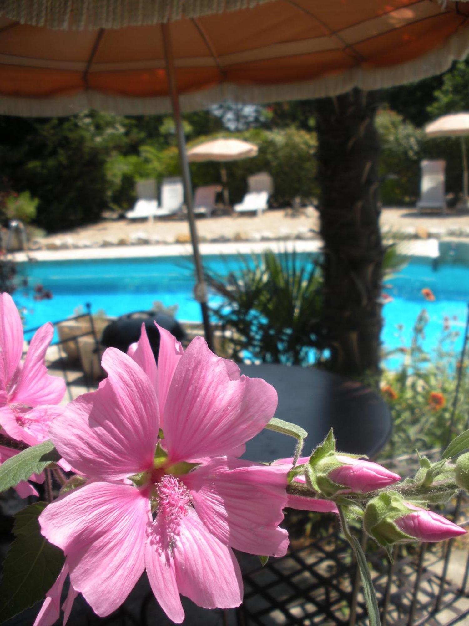 Holiday home Climatises Piscine Chauffee La Balancelle Saint-Remy-de-Provence