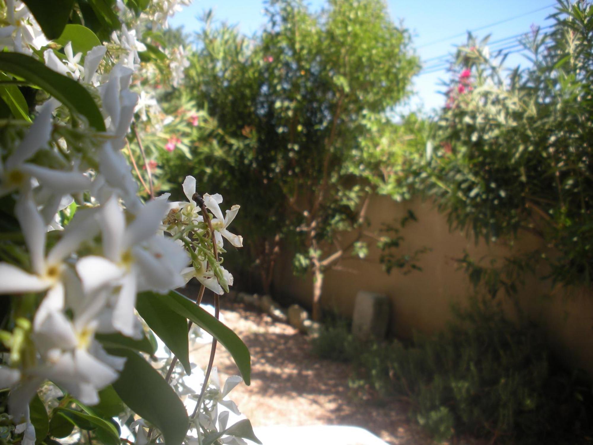 Holiday home Climatises Piscine Chauffee La Balancelle Saint-Remy-de-Provence